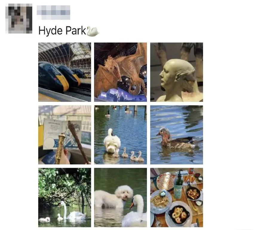 学员朋友圈：Hyde Park 海德公园