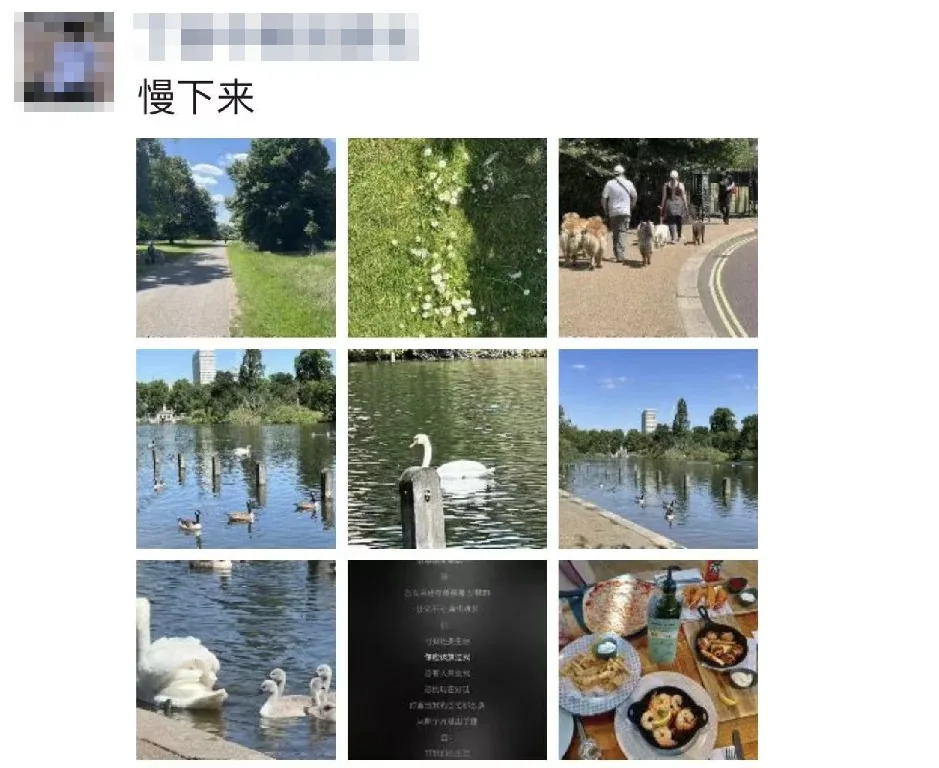 学员朋友圈：慢下来